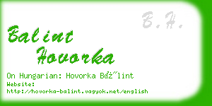 balint hovorka business card